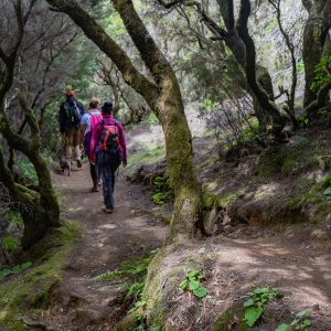 Caminata en la Sierra Norte de Oaxaca