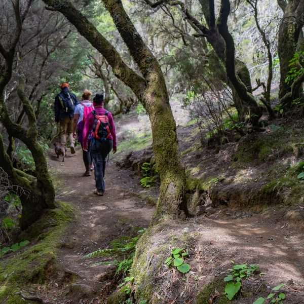 Caminata en la Sierra Norte de Oaxaca